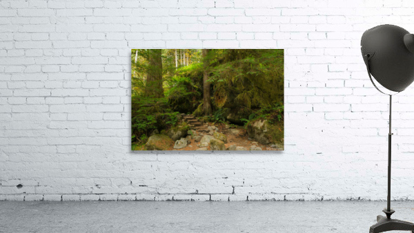 Riverbend Trail Wall Preview