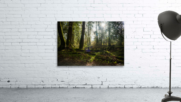 Morning has Broken Wall Preview