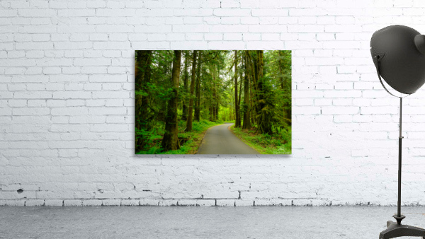 Spring Forest Wall Preview