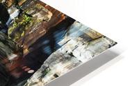 0240 HD Metal print