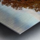Oak trees Metal print