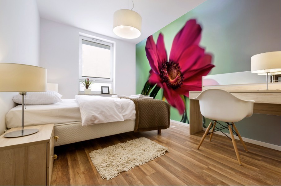 Pink Anemone Mural print