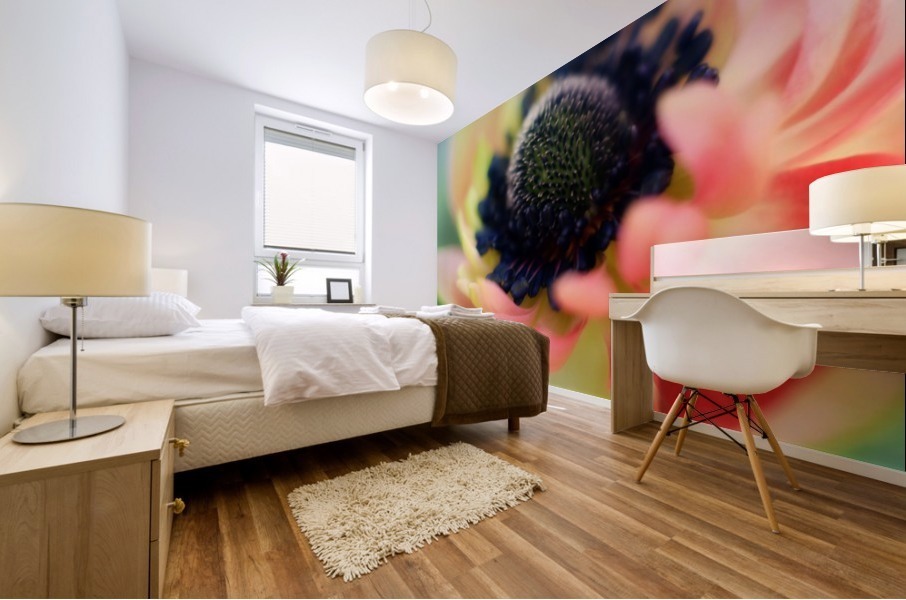 Anemone de Caen Mural print