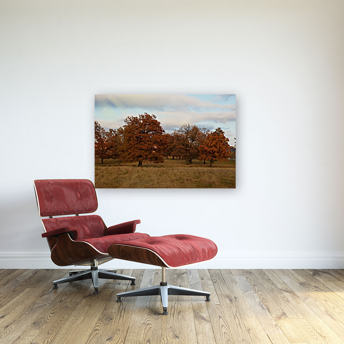 Oak trees Reproduction