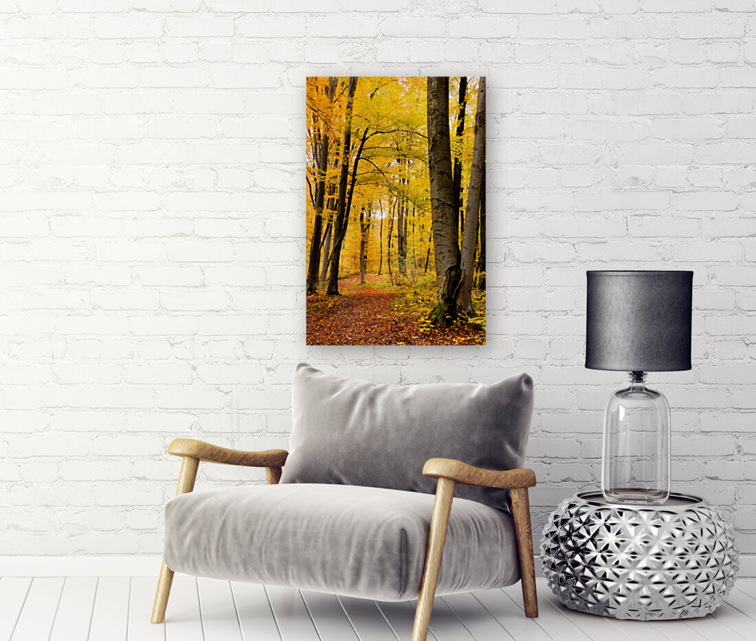 Beech forest Reproduction