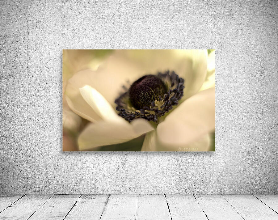 White Anemone Wall Preview