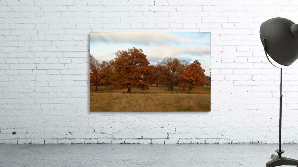 Oak trees Wall Preview