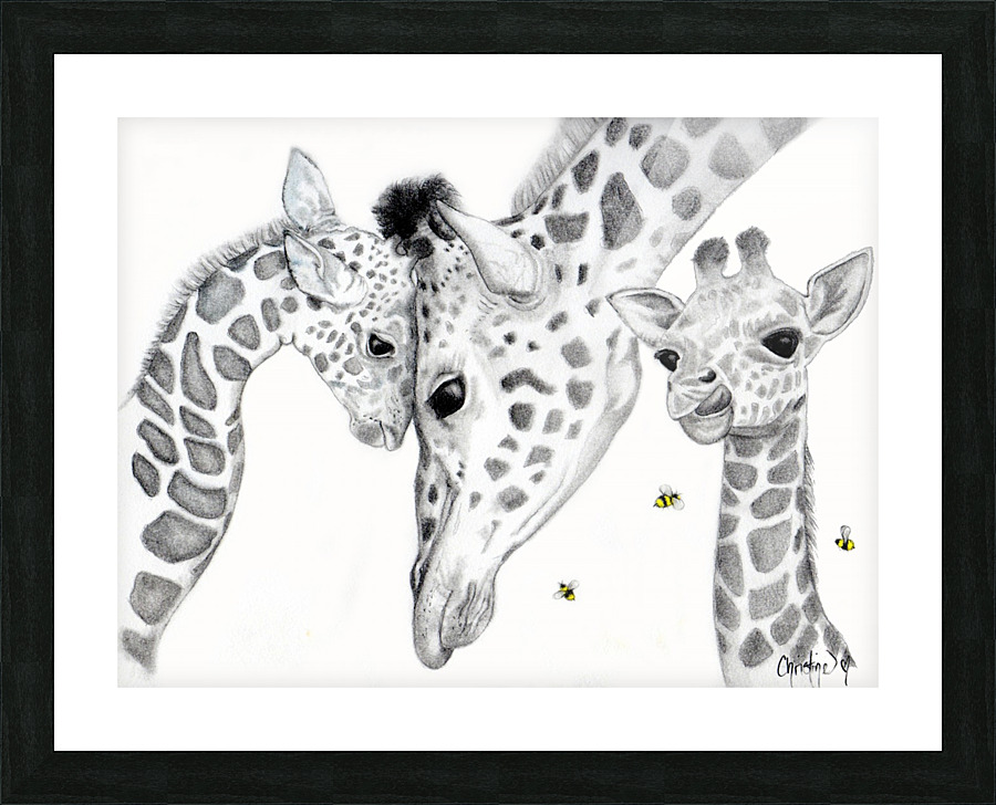 Giraffe Family  Picture Frame print