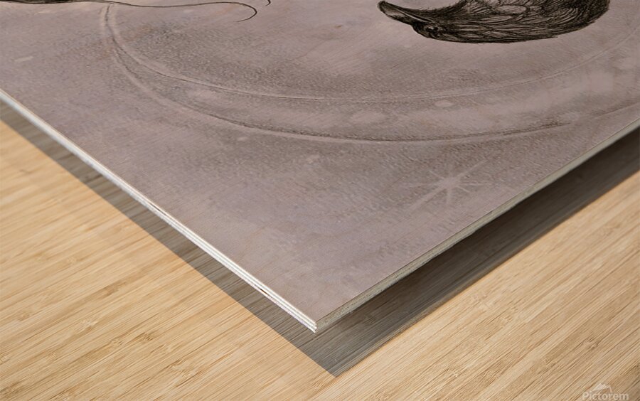 The Summoning   Wood print