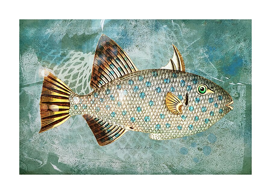 Blue-Green Fish with Spots Picture Frame print