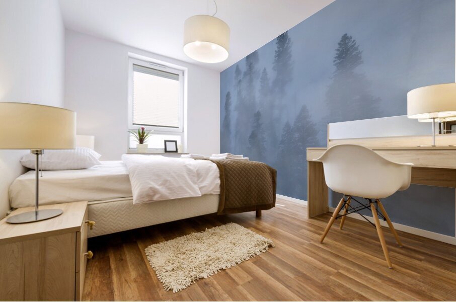 Calderas Mural print