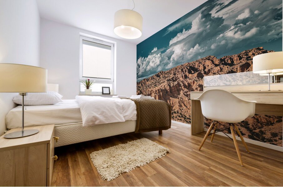 nambe badlands Mural print