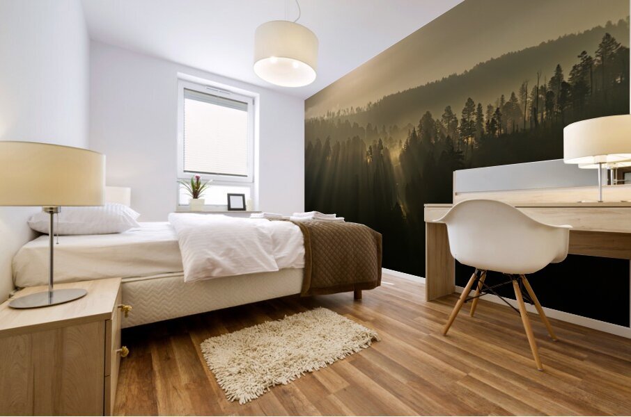 Sunlight Mural print