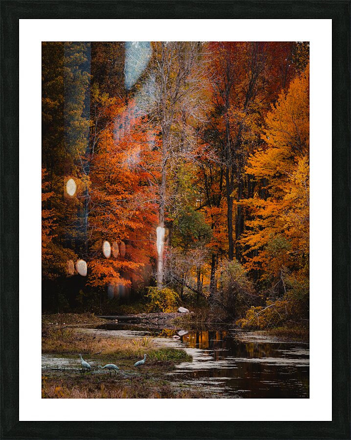 a new beggining Picture Frame print