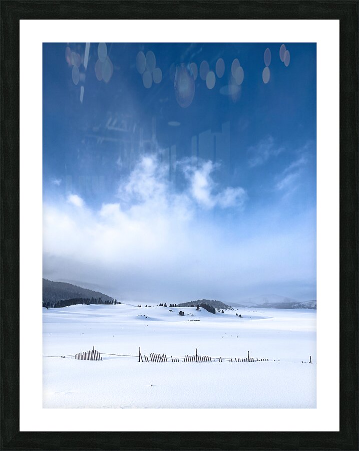 Fenced in Picture Frame print