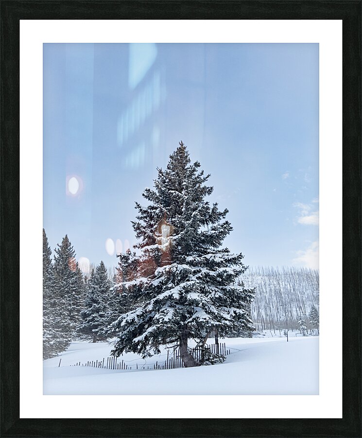 Winter Picture Frame print