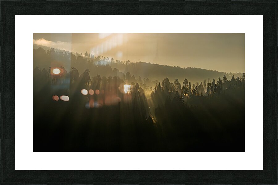 Sunlight Picture Frame print