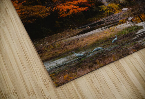 a new beggining luissaenz fine art puzzle