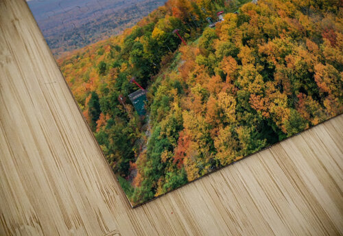 ski jump luissaenz fine art puzzle