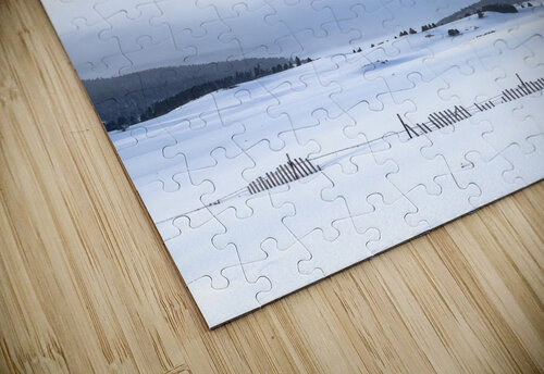 Fenced in luissaenz fine art puzzle