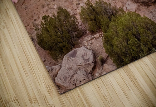 Camel Rock luissaenz fine art puzzle
