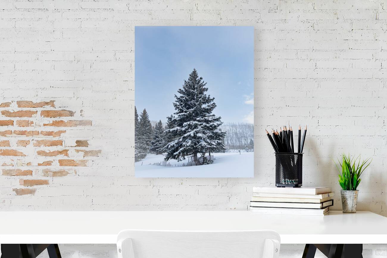 Winter Reproduction