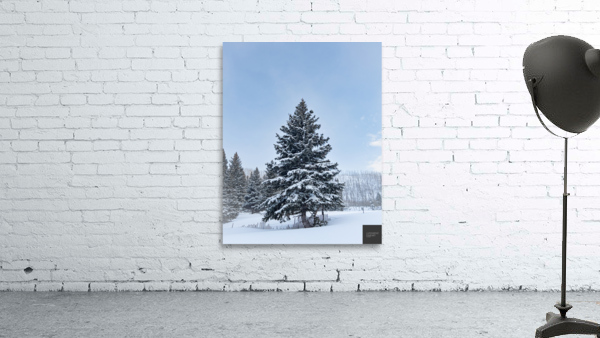 Winter Wall Preview