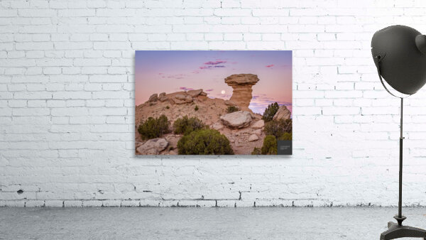 Camel Rock Wall Preview