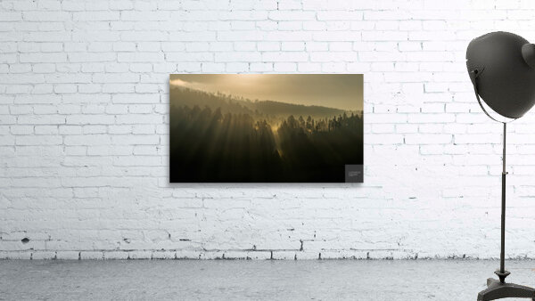 Sunlight Wall Preview