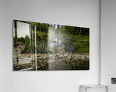 Beaver Pond Acrylic Print