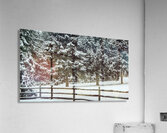 Winter Snow Acrylic Print