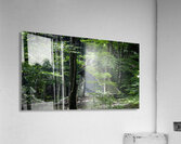 Trailside Shelter Acrylic Print