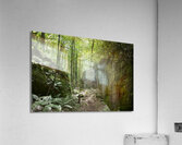 Mossy Rocks Acrylic Print