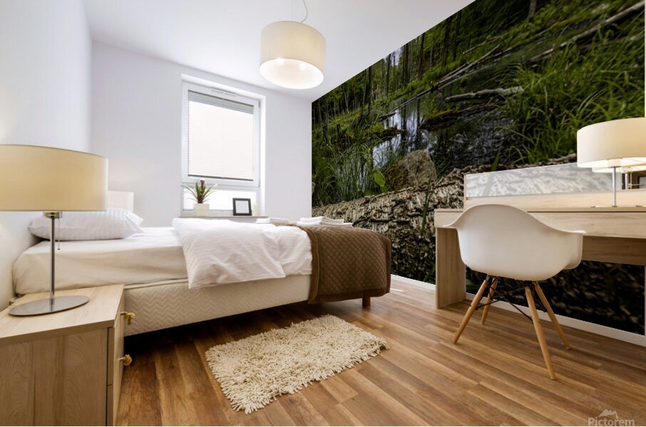 Beaver Pond Mural print