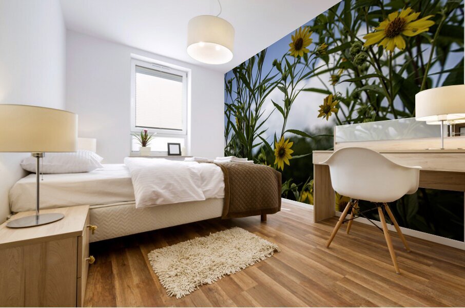 Jerusalem Artichoke  Mural print