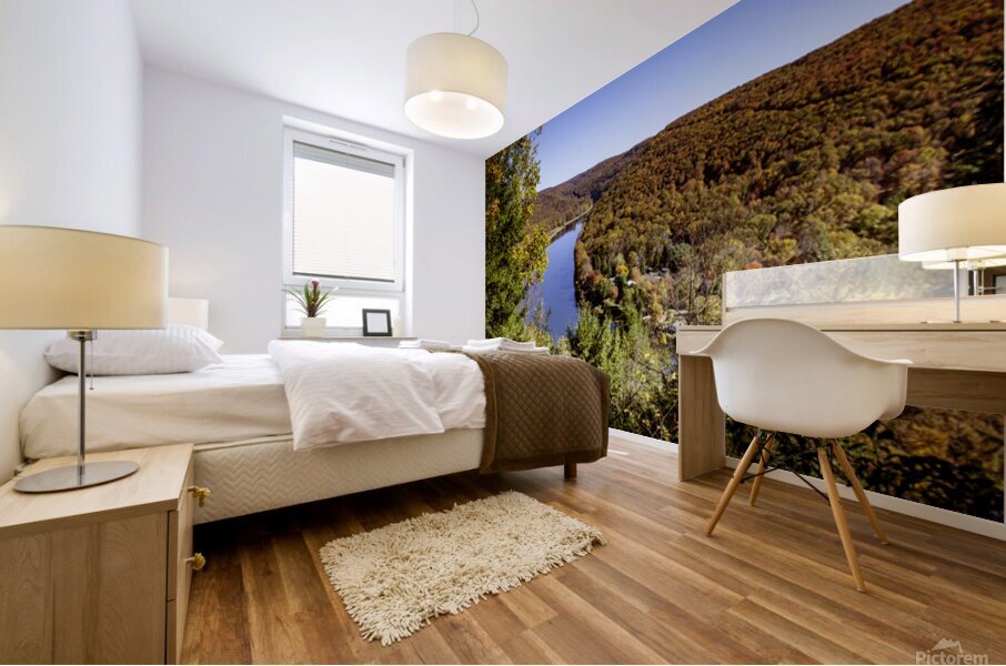 Dennison Point Mural print