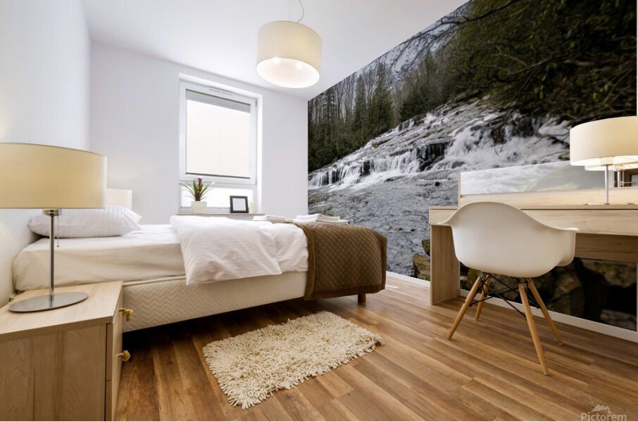 Cascade Falls Mural print