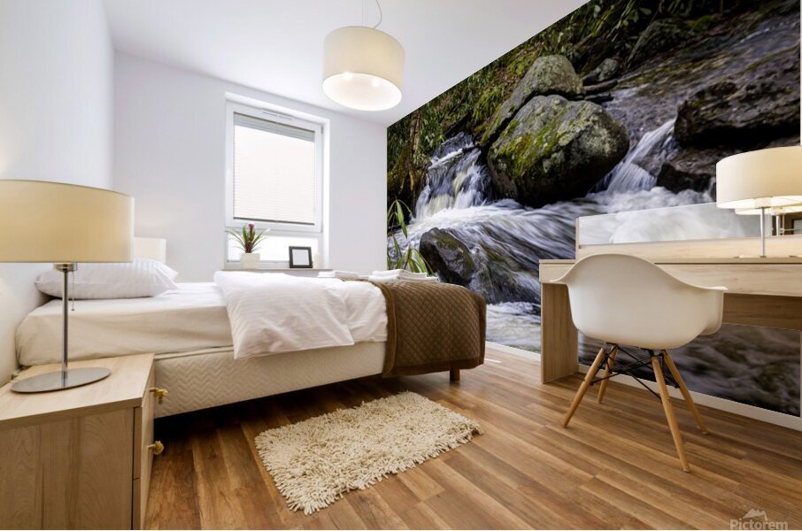 Paige Run Mural print