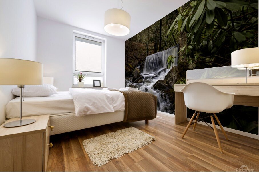 Table Falls Mural print