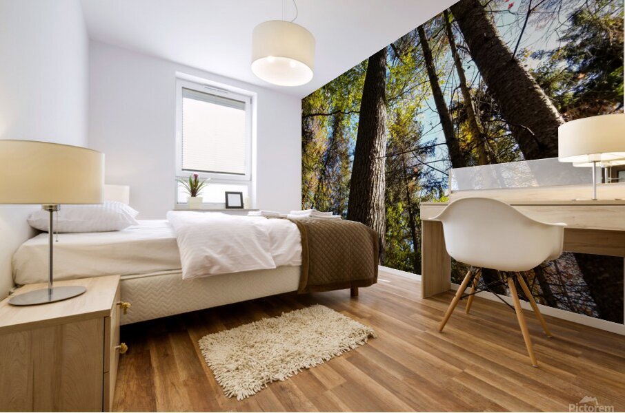 Eastern White Pine Mural print