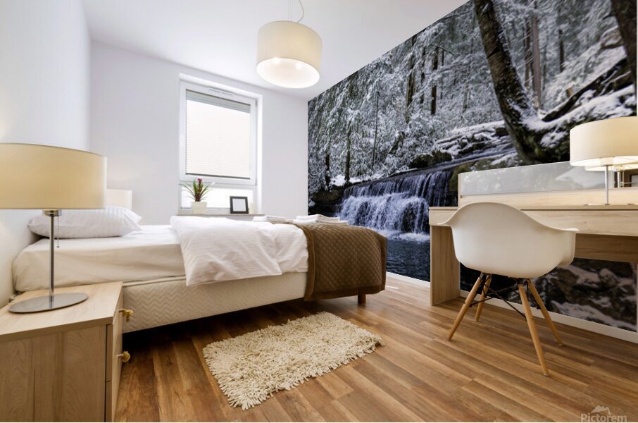 Toliver Falls Mural print