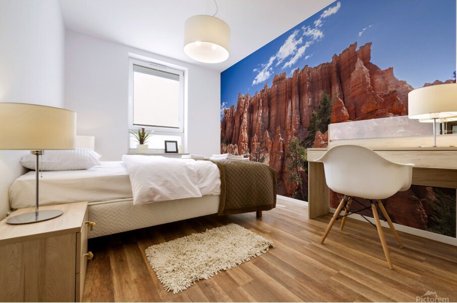 Bryce Canyon Hoodoos Mural print