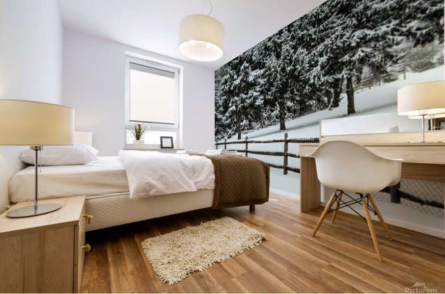 Winter Snow Mural print