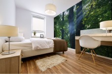 Summer Haze Mural print