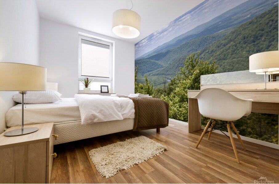 Yough River Valley Mural print