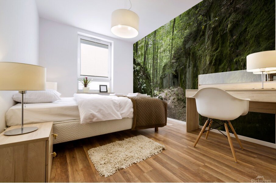 Mossy Rocks Mural print