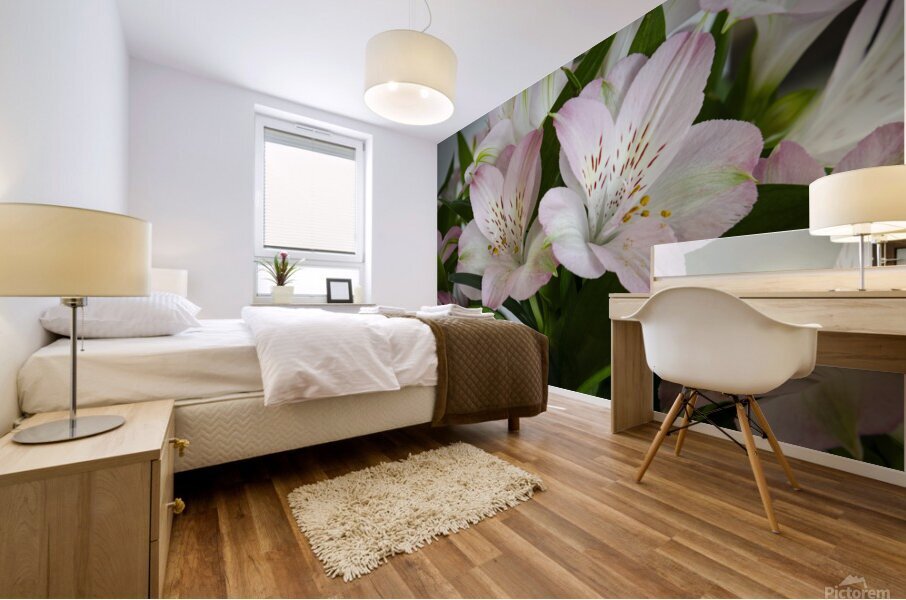 Peruvian Lily Mural print