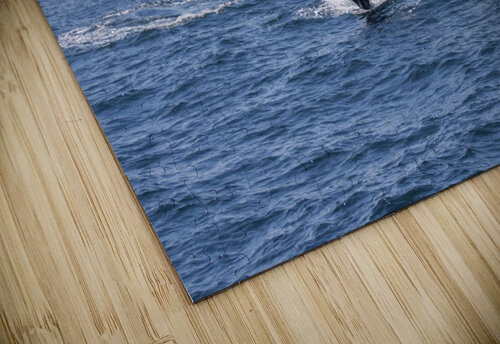 Whale Watching Five14Photography puzzle