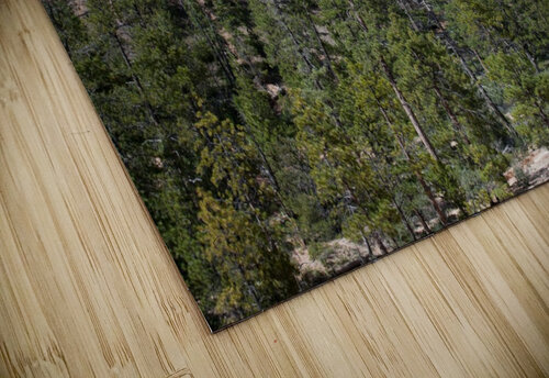 Looking Up From Bryce Canyon Five14Photography puzzle