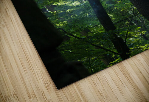 Summer Haze Five14Photography puzzle